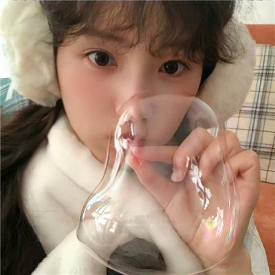 龙之家族