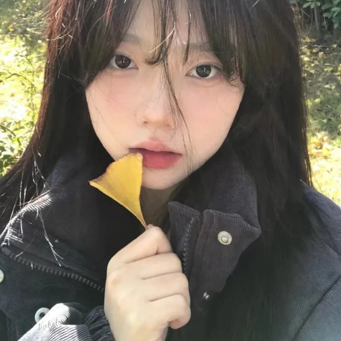 风骚律师
